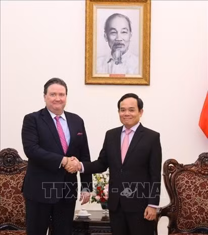 El viceprimer ministro vietnamita Tran Luu Quang recibió al embajador de Estados Unidos en el país, Marc Evans Knapper. (Fuente:VNA)
