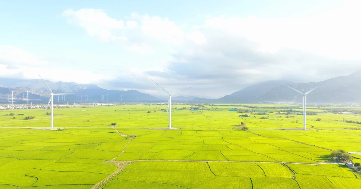 Una central de energía eólica en la provincia vietnamita de Khanh Hoa. (Foto: VNA)