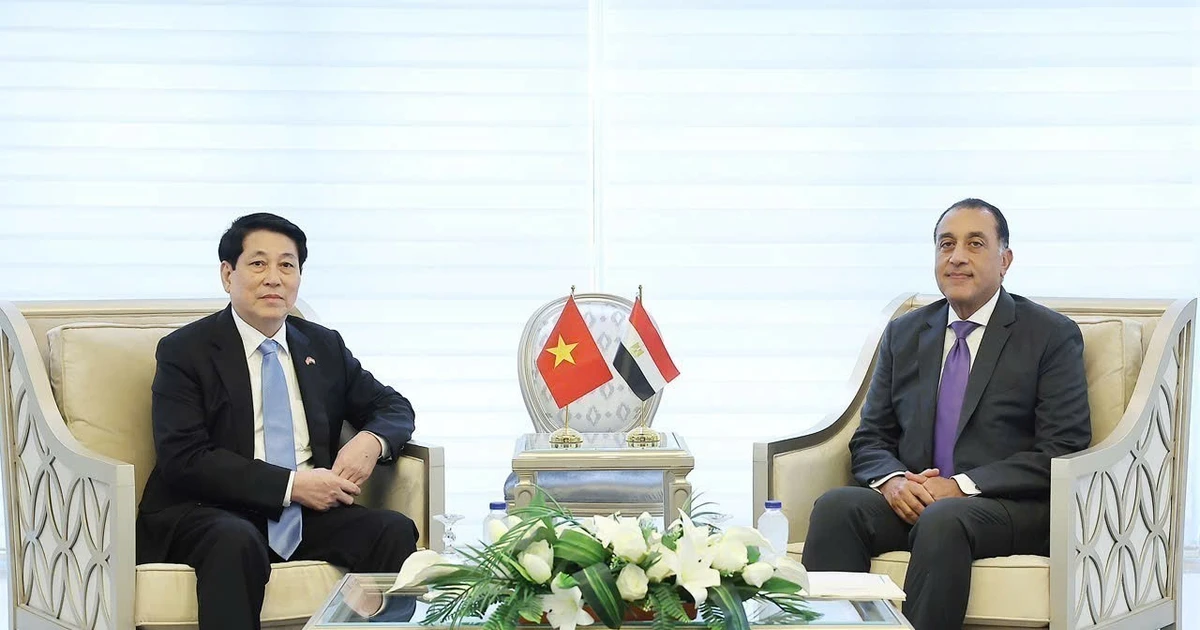 El presidente de Vietnam, Luong Cuong, (izquierda) se reúne con el primer ministro de Egipto, Mostafa Madbouly. (Foto: VNA) 