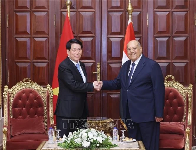 El presidente vietnamita, Luong Cuong, se reúne con el titular del Senado egipcio, Abdel-Wahab Abdel-Razek. (Foto: VNA) 