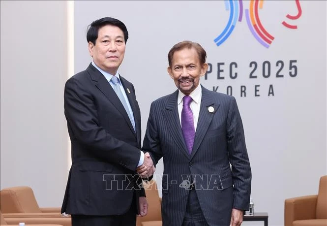 El presidente de Vietnam, Luong Cuong, y el sultán de Brunéi, Haji Hassanal Bolkiah en el marco del APEC. (Foto: VNA)