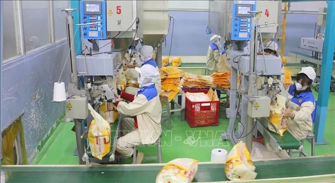 Envasado de arroz para exportación en la fábrica de Thao Son, filial del grupo Loc Troi. (Foto: VNA)