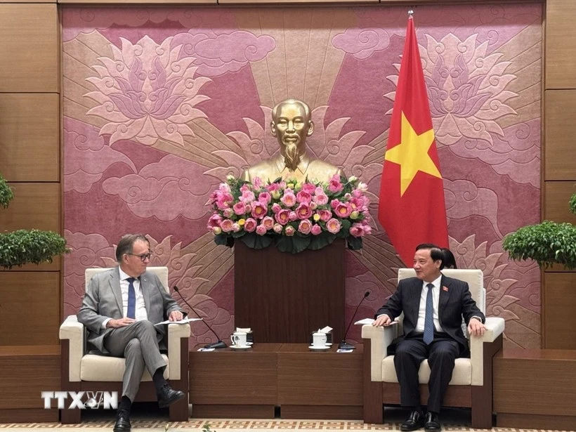 El vicepresidente de la Asamblea Nacional de Vietnam, Nguyen Khac Dinh, recibe al senador Alain Cadec, titular del Grupo de Amistad Francia-Vietnam del Senado francés. (Foto: VNA)