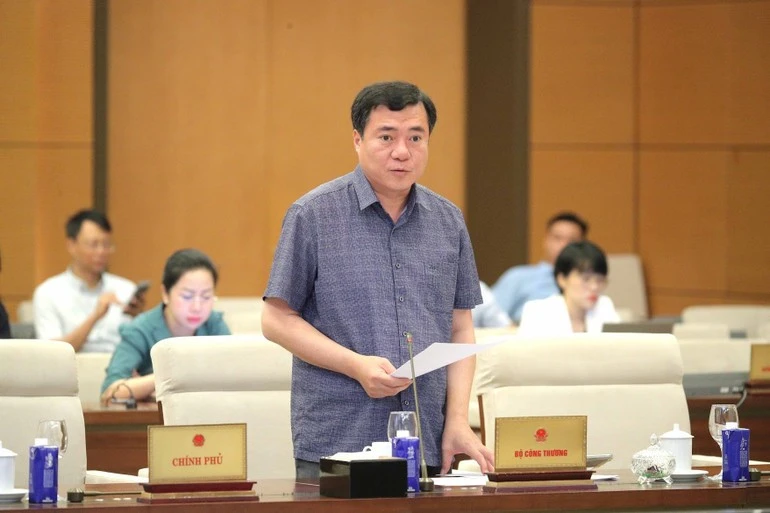 El viceministro de Industria y Comercio Nguyen Sinh Nhat Tan en la reunión. (Foto: VNA) 