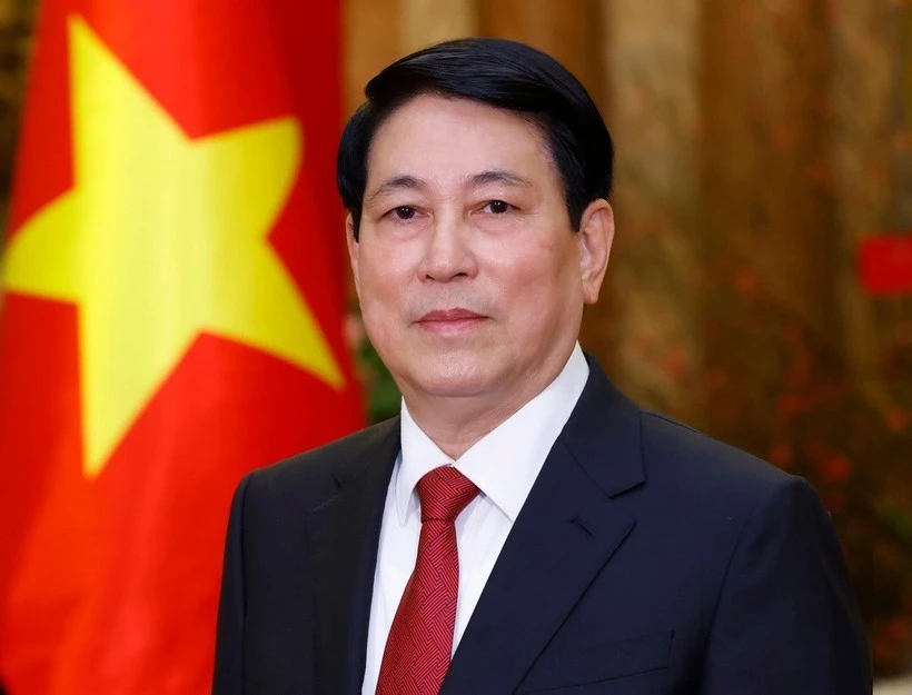 El presidente de Vietnam, Luong Cuong. (Foto: VNA)