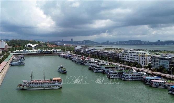 Flota turística de Ha Long en el puerto internacional de pasajeros de Tuan Chau (Foto: VNA) 