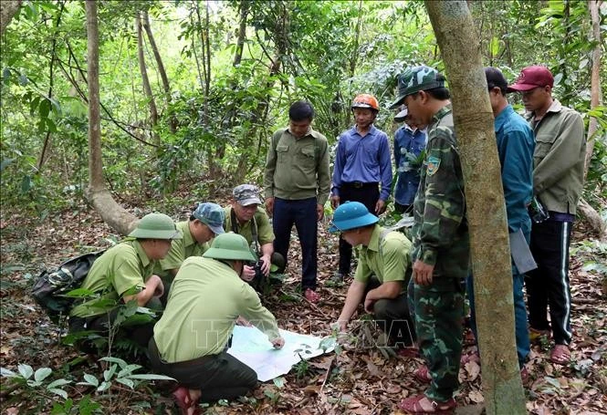 En una patrulla en el Parque Nacional Phong Nha-Ke Bang. (Foto: VNA)