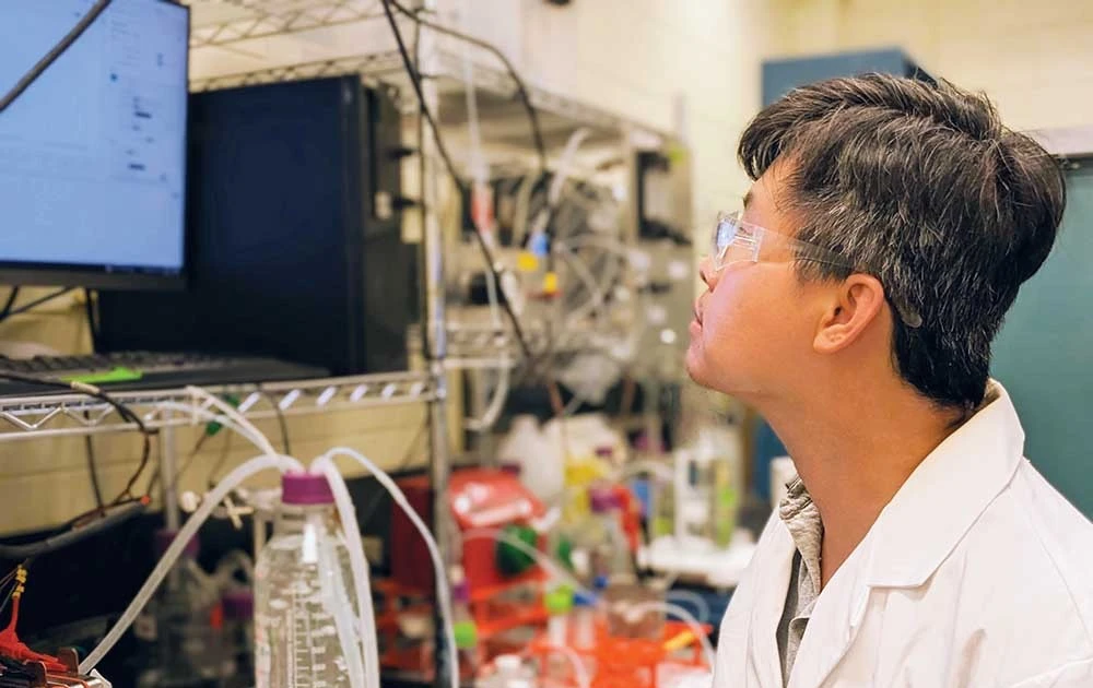 CO2L Tech puso a prueba su tecnología en la planta de la empresa Helen de Investigación Científica y Desarrollo Tecnológico. (Foto: baodautu.vn)