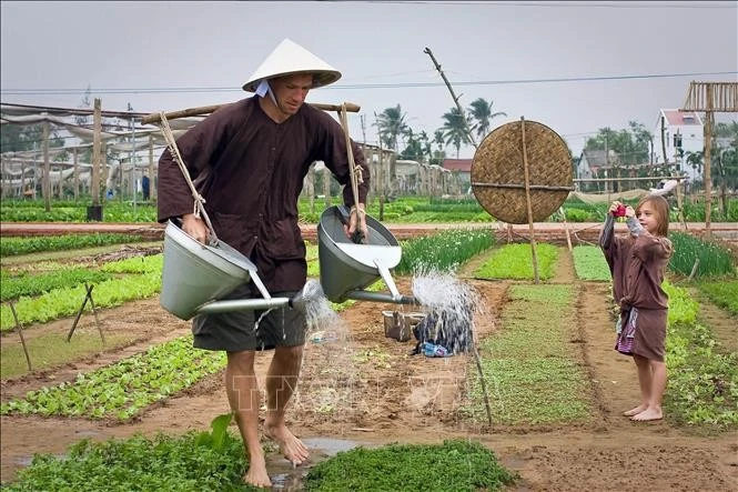 Turistas en Da Nang. (Fuente: VNA) 
