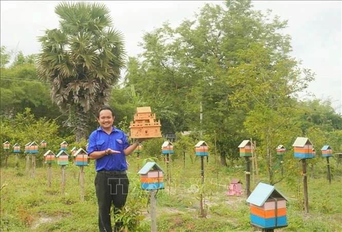 Trung Thanh ha desarrollado con éxito un modelo de cría de abejas sin aguijón en armonía con la naturaleza. (Fuente: VNA)