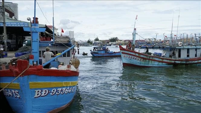 En el puerto pesquero de Quy Nhon (Foto. VNA)