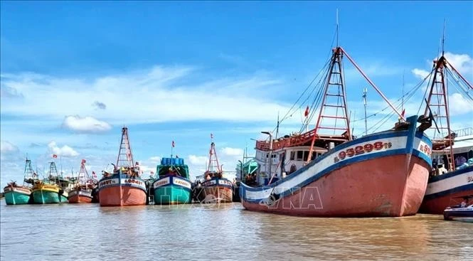 En el puerto pesquero de Ganh Hao, en Ca Mau (Foto: VNA)