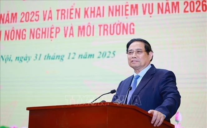 El primer ministro de Vietnam, Pham Minh Chinh, habla en la conferencia. (Foto: VNA)