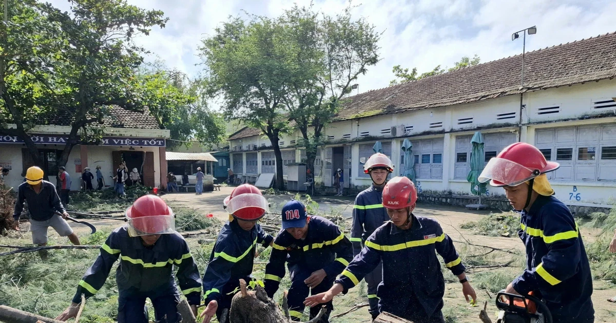 Retiran árbol caído en un escuela secundaria en la provincia de Dak Lak. (Foto: VNA)