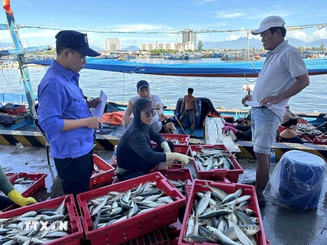 Realizan inspección en un puerto. (Foto: VNA) 