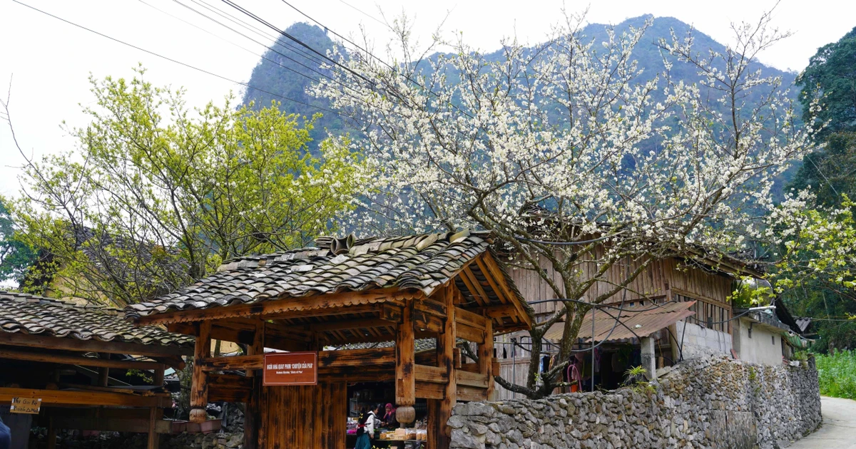 Belleza de Lung Cu avanza hacia el desarrollo del turismo verde en el Norte de Vietnam