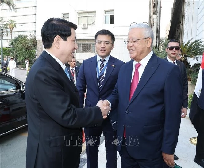 El presidente de Vietnam, Luong Cuong (izquierda), se reúne con el titular de la Cámara de Representantes de Egipto, Hanafy El Gebaly. (Foto: VNA) 