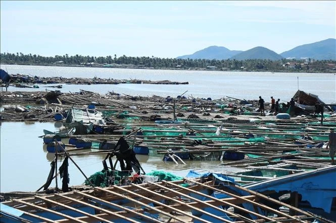 Las jaulas de acuicultura de los habitantes de la comuna de Xuan Canh - Dak Lak sufrieron graves daños, causando grandes pérdidas. (Foto: VNA)
