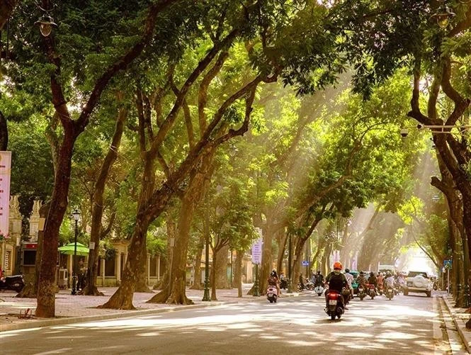 Cada estación en Hanói tiene su propio encanto, pero quizás el otoño, con su sol dorado y su clima templado, sea la época que más cautiva y emociona a las personas. (Foto: VNA)