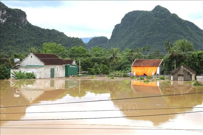 Se espera un alto riesgo de inundaciones en las zonas bajas a lo largo del río Ca, en la provincia central de Nghe An. (Foto: VNA)