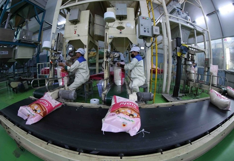 Senegal es un mercado potencial para las exportaciones de arroz de Vietnam. (Foto: VNA)