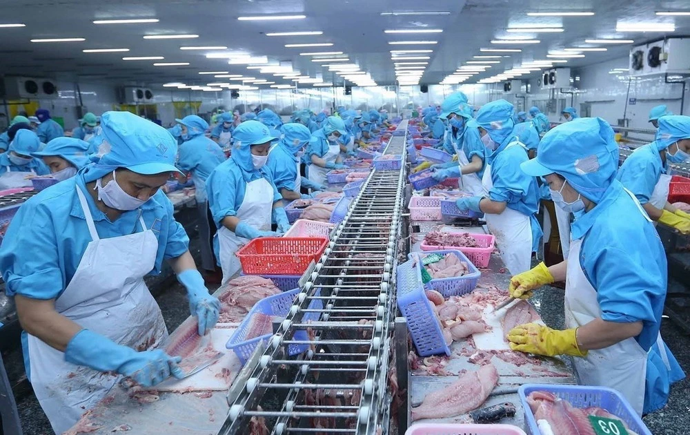 Procesamiento de mariscos para exportación. (Foto: VNA)