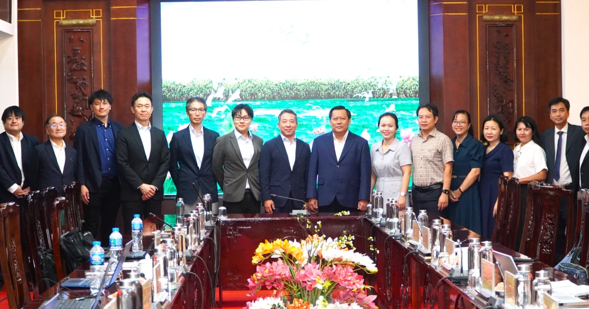 Provincia vietnamita coopera con socios japoneses en desarrollo de hidrógeno verde. (Foto: VNA)