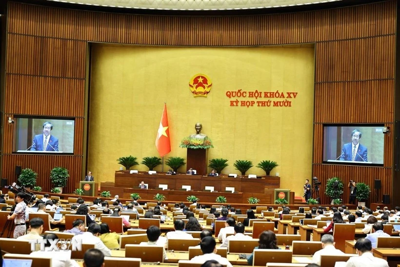 El panorama de la sesión. (Foto: VNA)