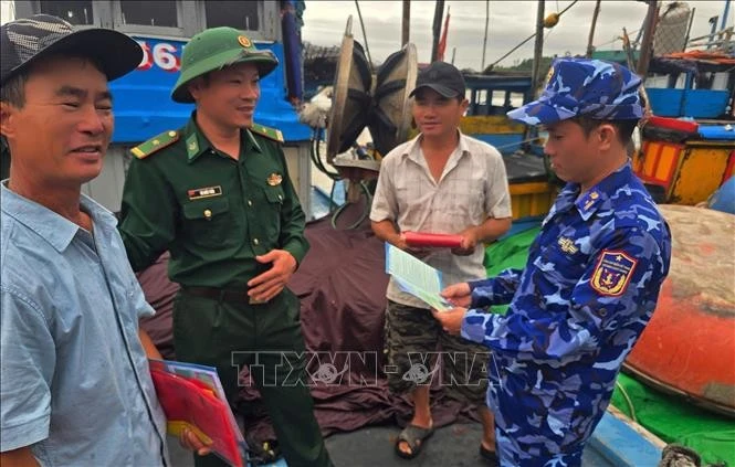 La ciudad controvietnamita de Da Nang refuerza las medidas contra la pesca ilegal. (Foto: VNA)