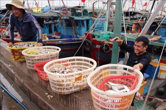 En el puerto pesquero de Ngoc Hai, en el barrio de Do Son, los pescadores muestran un cambio notable en su mentalidad. (Foto: VNA)