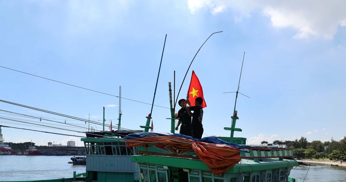 Intensifica Vietnam la cruzada contra la pesca ilegal. (Foto: VNA)