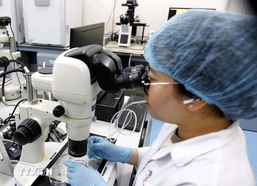 Ley de Ciencia, Tecnología e Innovación entrará en vigor el 1 de octubre venidero. (Foto: VNA)
