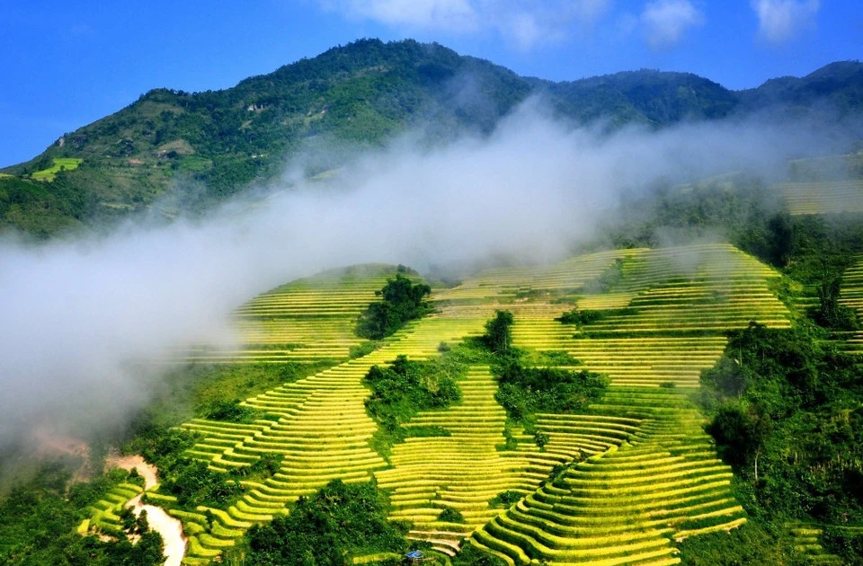 Participar en los World Trail Majors es una excelente opción para que los atletas exploren las majestuosas montañas y bosques que rodean SaPa. (Foto: VNA)