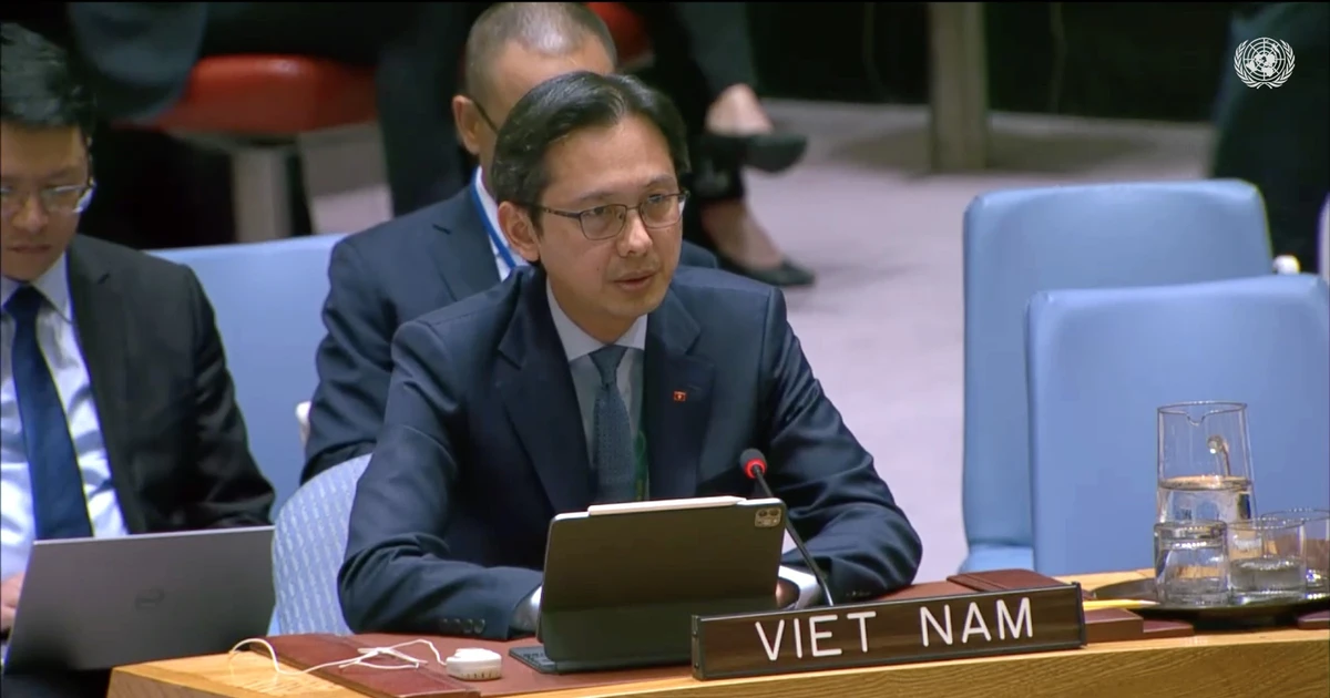 El embajador Do Hung Viet, representante permanente de Vietnam ante la ONU, interviene en la cita. (Foto: VNA)