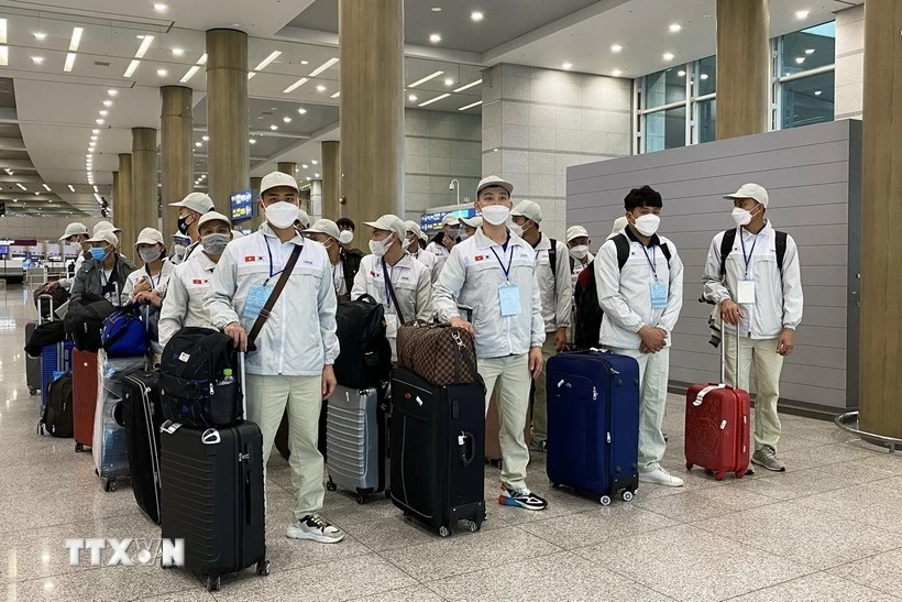 Trabajadores vietnamitas llegan al Aeropuerto Internacional de Incheon, en Corea del Sur. (Foto: VNA)