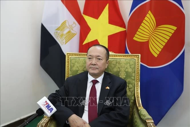 El embajador de Hanoi en El Cairo, Nguyen Huy Dung (Foto: VNA)