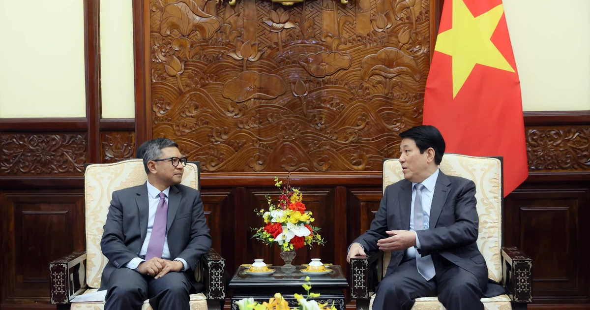 El presidente Luong Cuong recibe al embajador de Indonesia en Vietnam, Denny Abdi (Fuente: VNA)