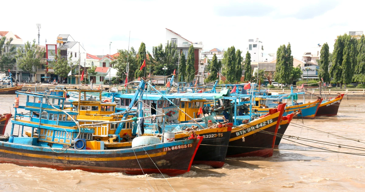 Barcos pesqueros anclados en el río Ca Ty, barrio de Phan Thiet, Lam Dong. (Foto: VNA)