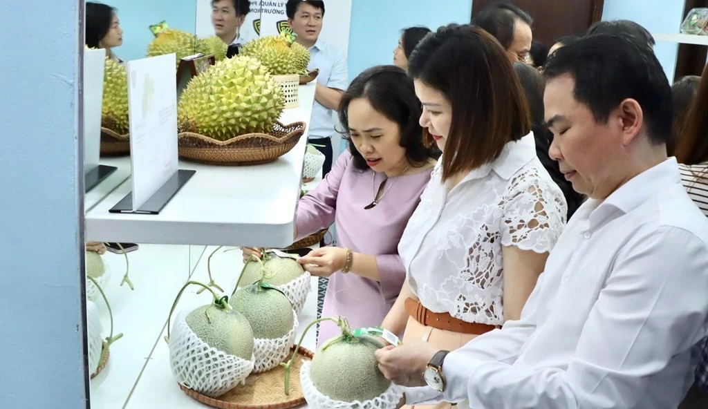 Todos los productos frutícolas exibidos en las ferias cuentan con códigos QR para su trazabilidad (Foto: VNA)