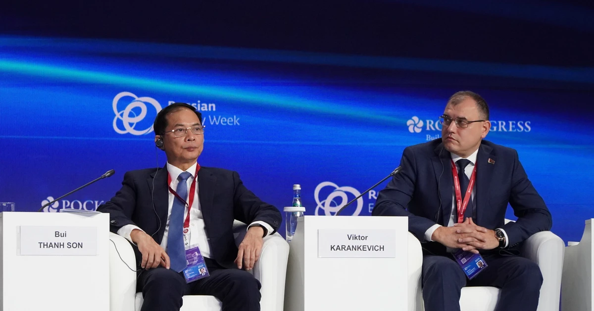 El viceprimer ministro de Vietnam, Bui Thanh Son (izquierda) en la cita (Fuente: VNA) 