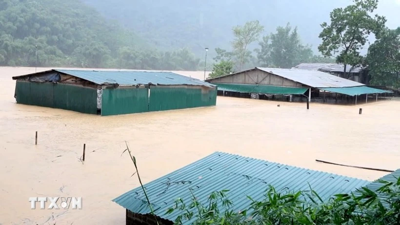 Fuertes lluvias e inundaciones han anegado numerosas viviendas en la comuna de Trung Ha, provincia central de Thanh Hoa. (Foto: VNA)