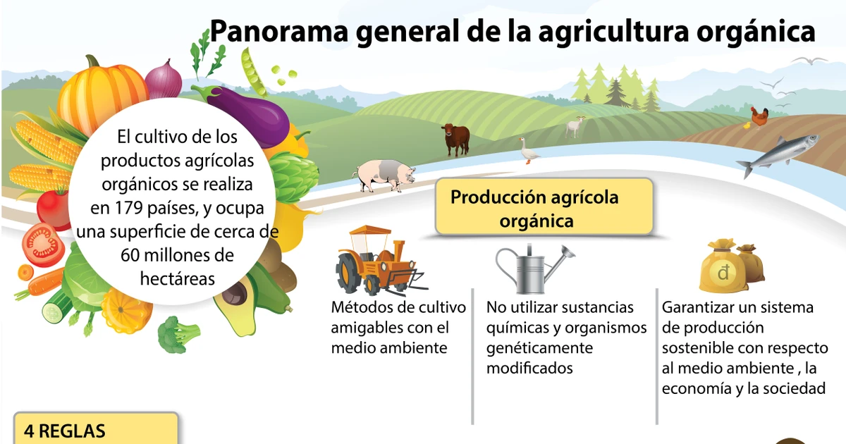 Infografía] Panorama general de la agricultura orgánica | Vietnam+  (VietnamPlus)