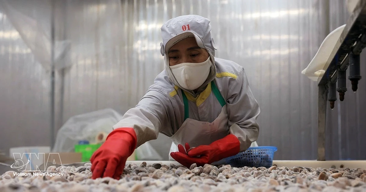Vietnam intensifica esfuerzos para impulsar exportaciones en segundo semestre