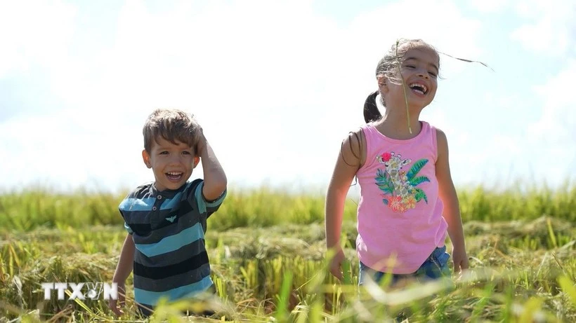 'Semillas de la Felicidad': Una historia conmovedora sobre la amistad entre Vietnam y Cuba