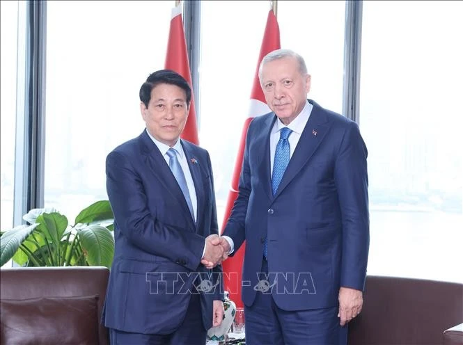 El presidente de Vietnam, Luong Cuong, sostuvo un encuentro con su homólogo turco, Recep Tayyip Erdoğan. (Fuente: VNA) 