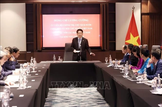 El presidente de Vietnam, Luong Cuong, habla en la reunión. (Foto: VNA)