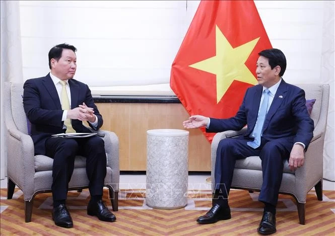El presidente de Vietnam, Luong Cuong, sostuvo un encuentro con Taewon Chey, presidente del conglomerado SK Group y de la Cámara de Comercio e Industria de Corea del Sur. (Foto: VNA) 