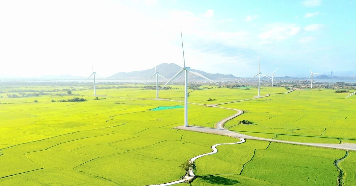 El campo de energía eólica en Dam Nai, Ninh Thuan (ahora Khanh Hoa). Foto: VNA 