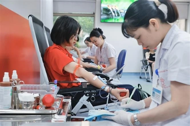 Voluntarios donan sangre (Foto: VNA)