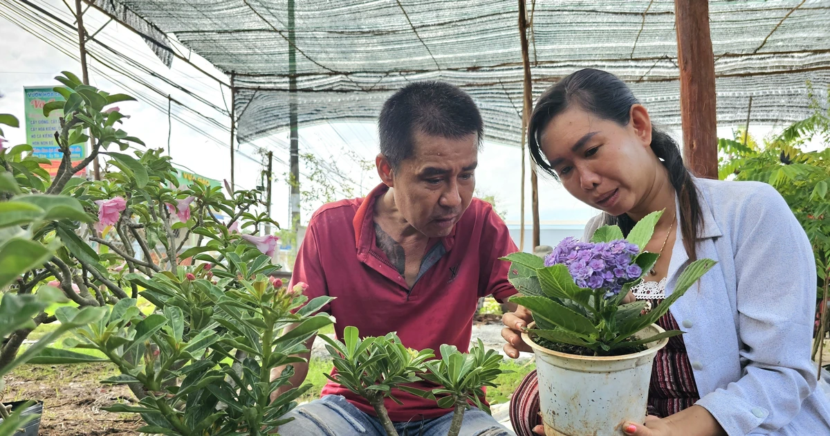 Una pareja residente en la aldea de Tan Thien, comuna de Tan Thanh Binh, provincia de Ben Tre, ha desarrollado su negocio de producción de macetas ornamentales y bonsáis mediante créditos basados ​​en políticas. (Foto: VNA)